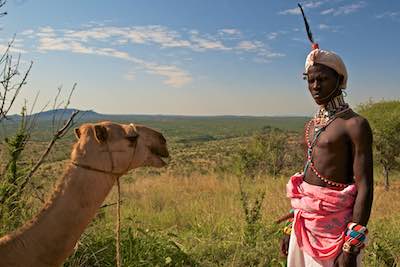 Samburu warrior & camel in Laikipia